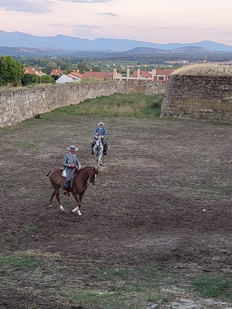 Jornada de sábado en la Feria del Caballo en Ciudad Rodrigo