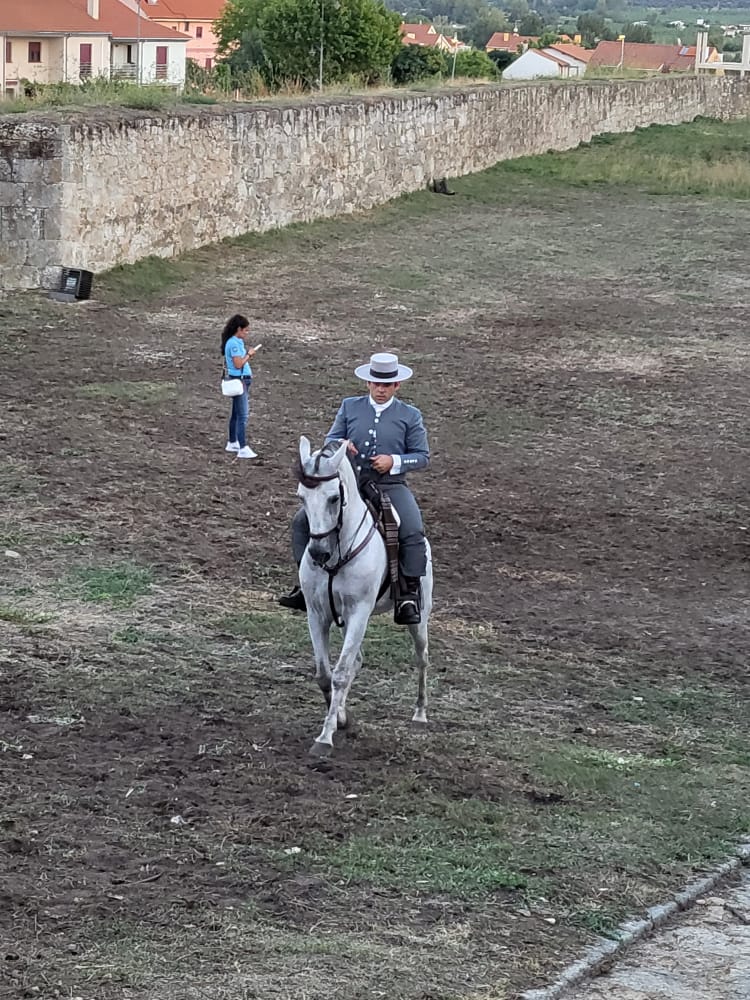 Jornada de sábado en la Feria del Caballo en Ciudad Rodrigo