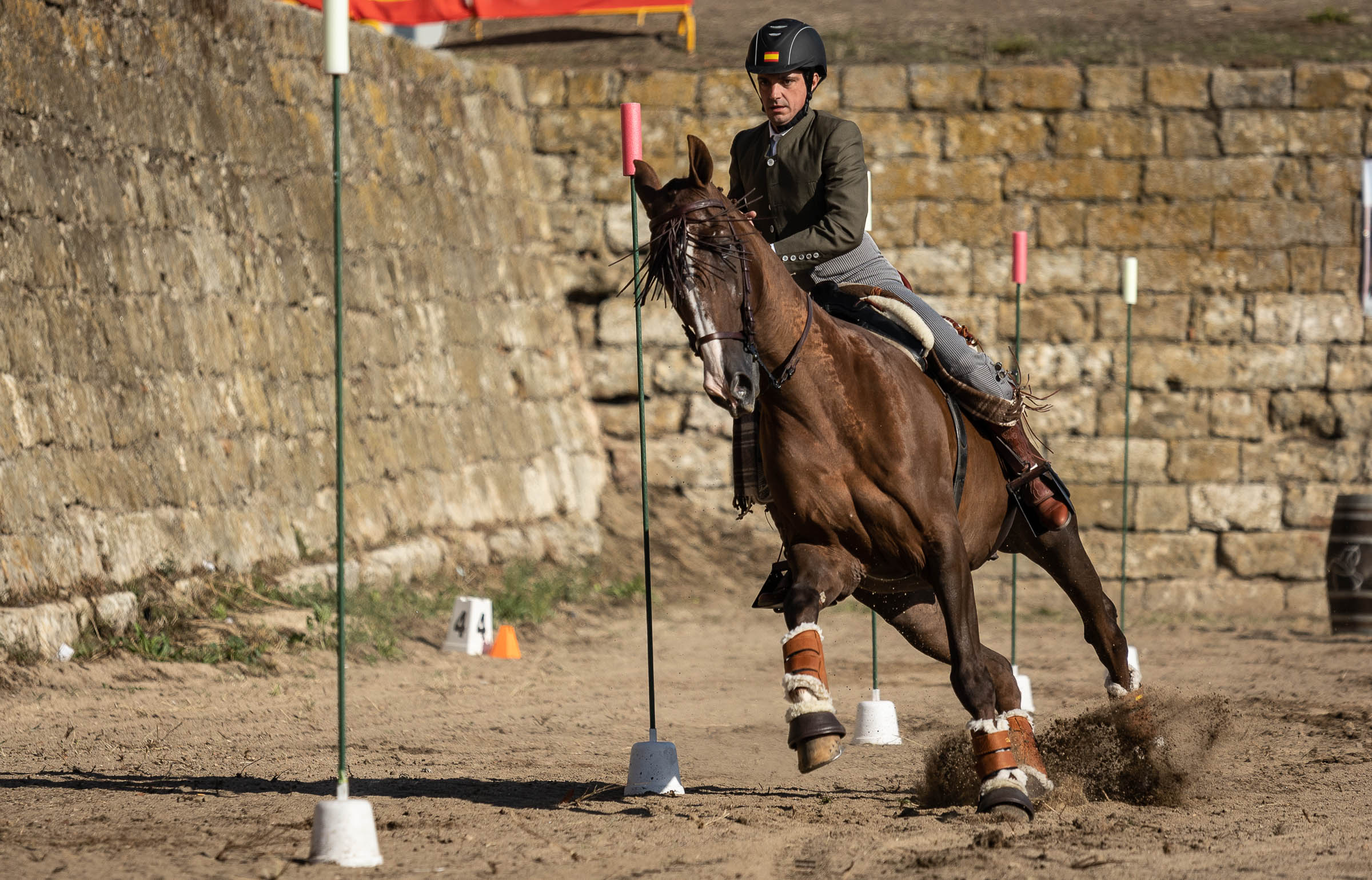 Feria del Caballo domingo. Vicente