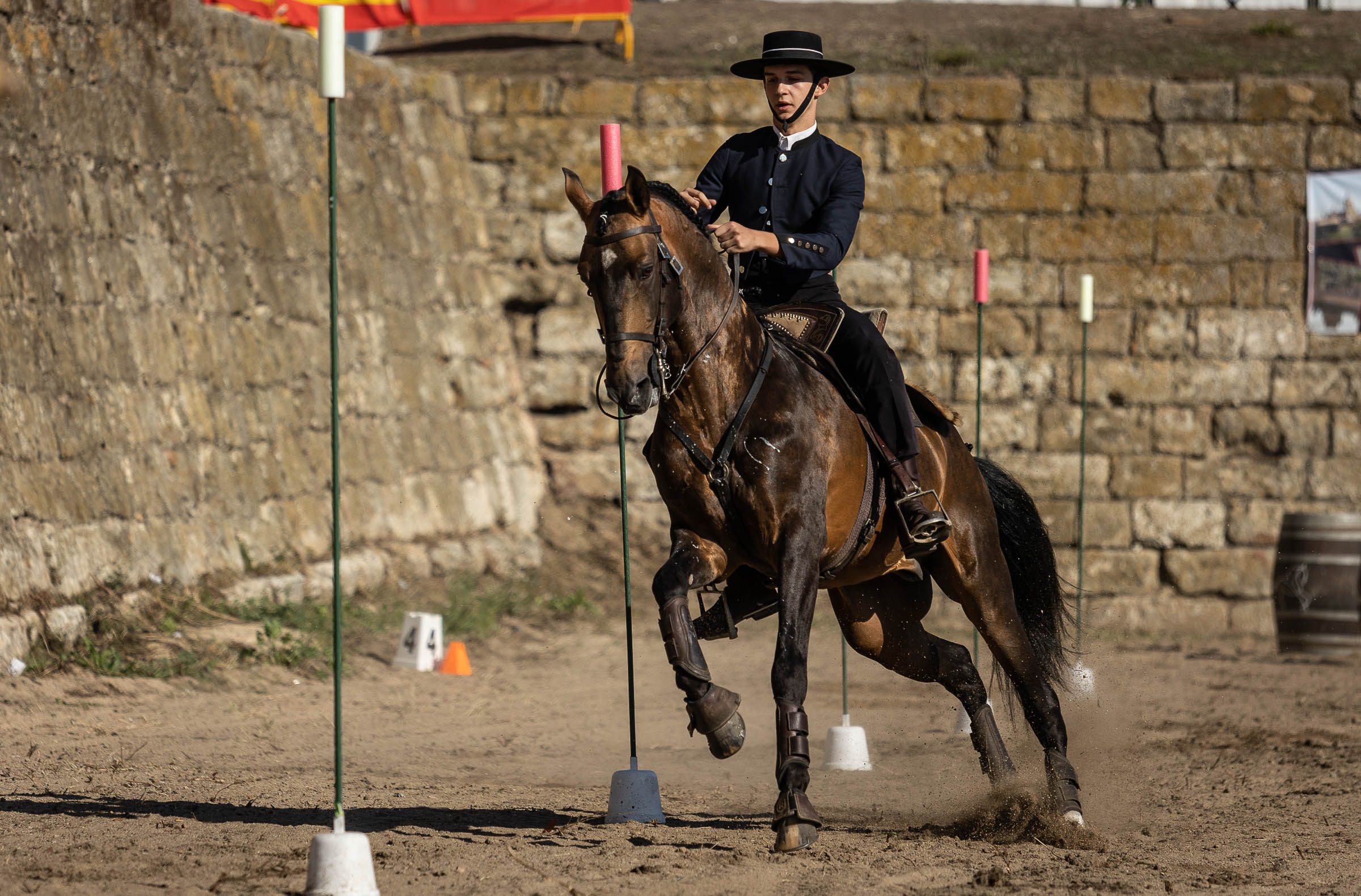 Feria del Caballo domingo. Vicente