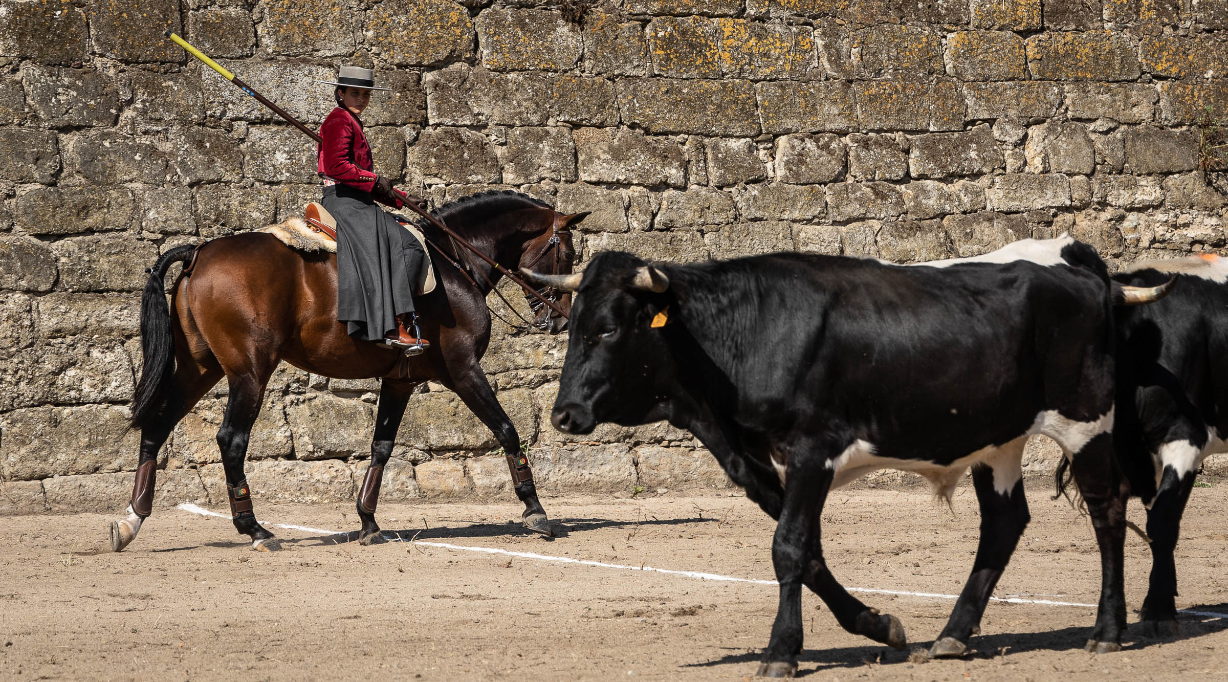 Feria del Caballo domingo. Vicente