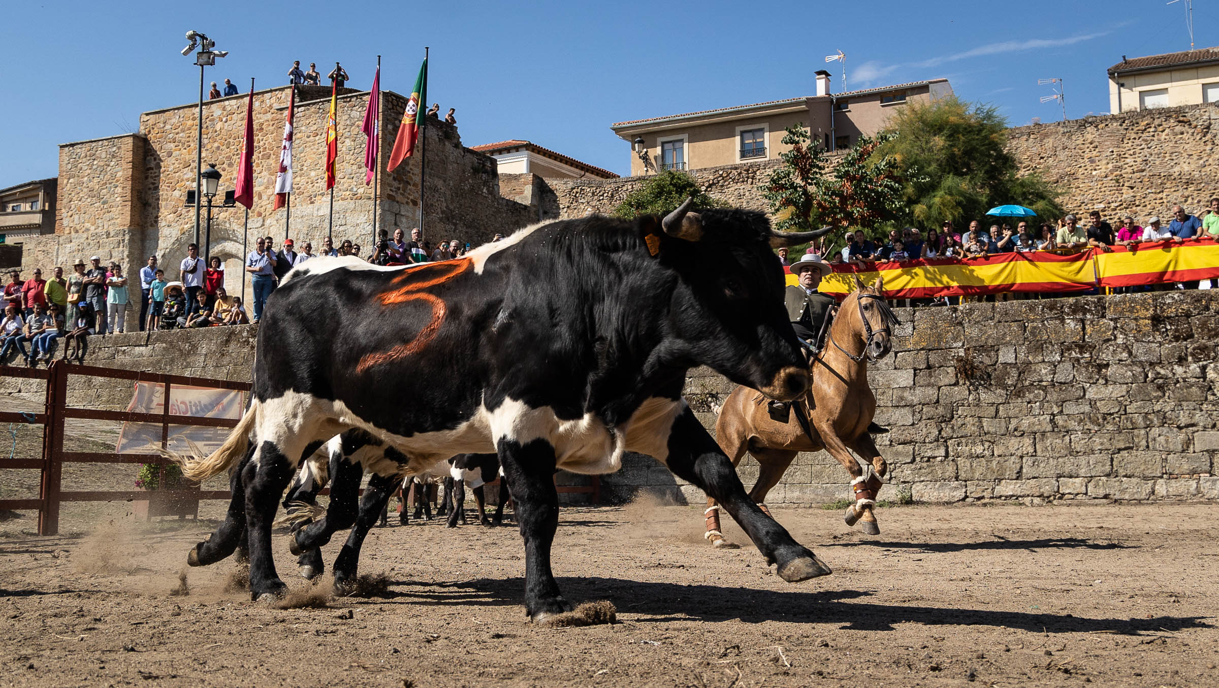 Feria del Caballo domingo. Vicente