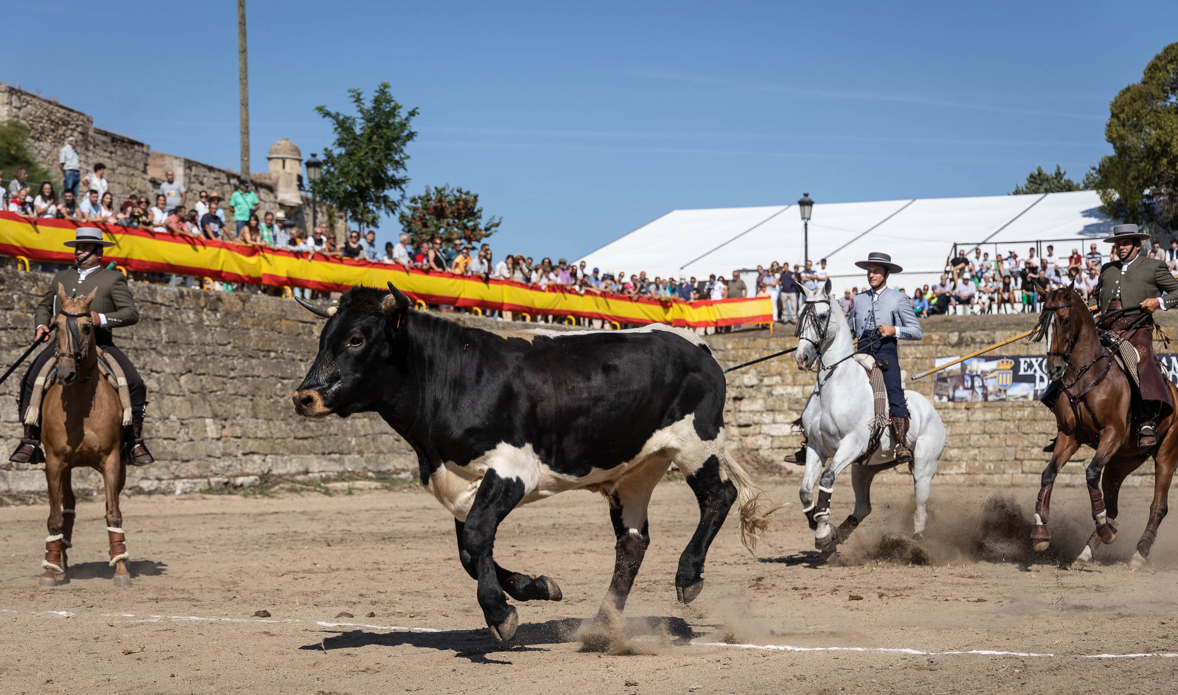 Feria del Caballo domingo. Vicente