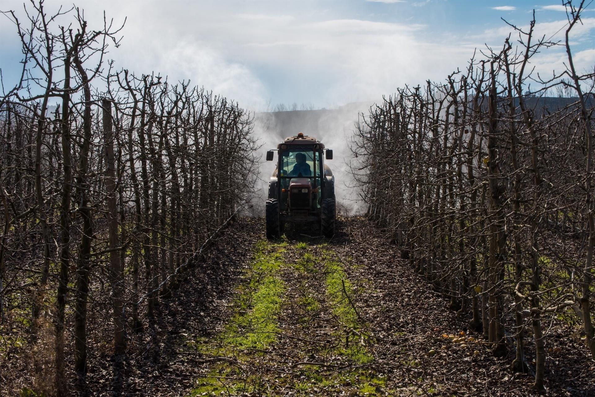 Tractor. Foto EP