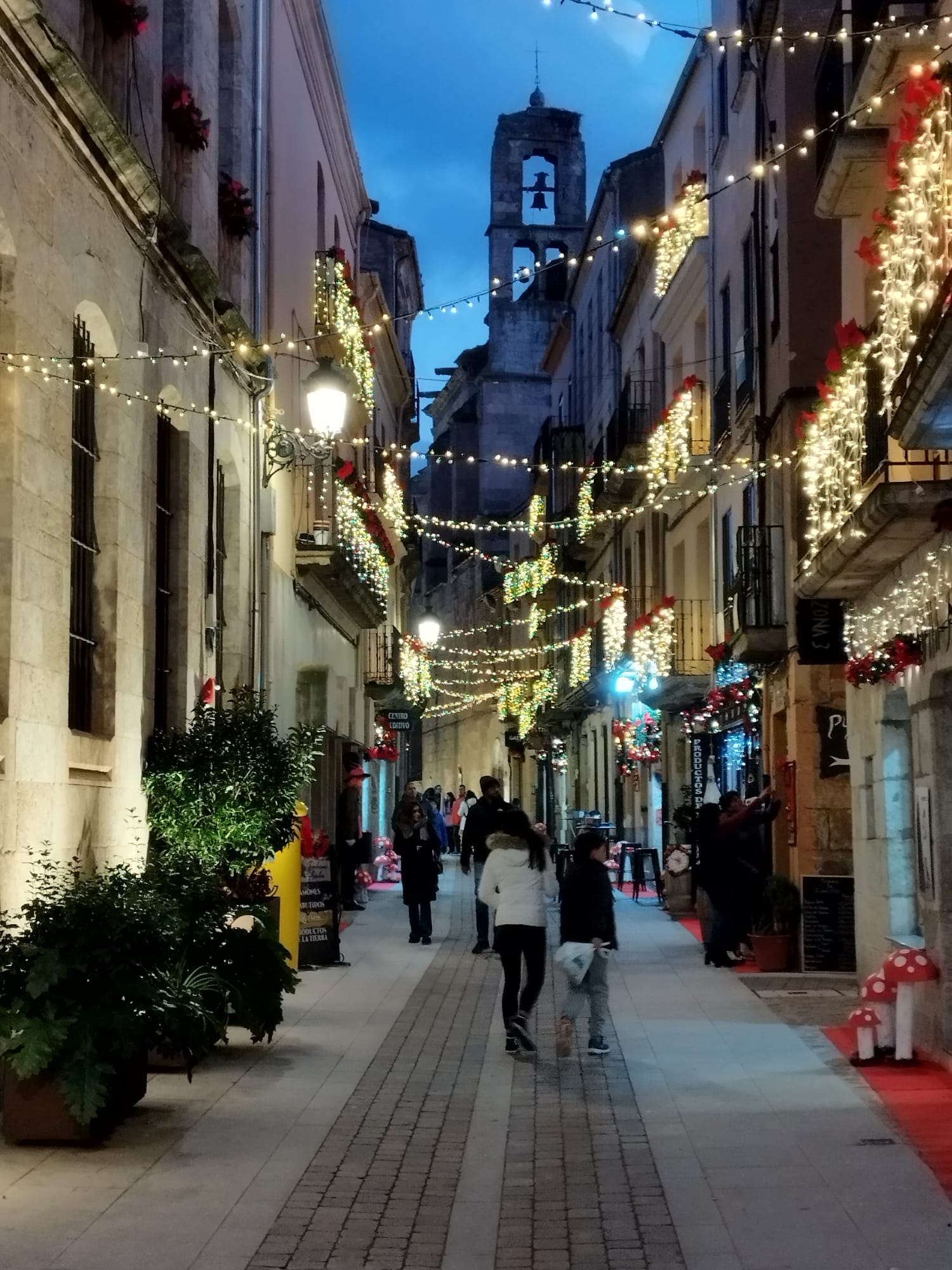 Ciudad Rodrigo brilla más que nunca siendo "Estrella de la Navidad"