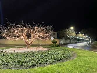 Carbajosa de la Sagrada se engalana para festejar la Navidad