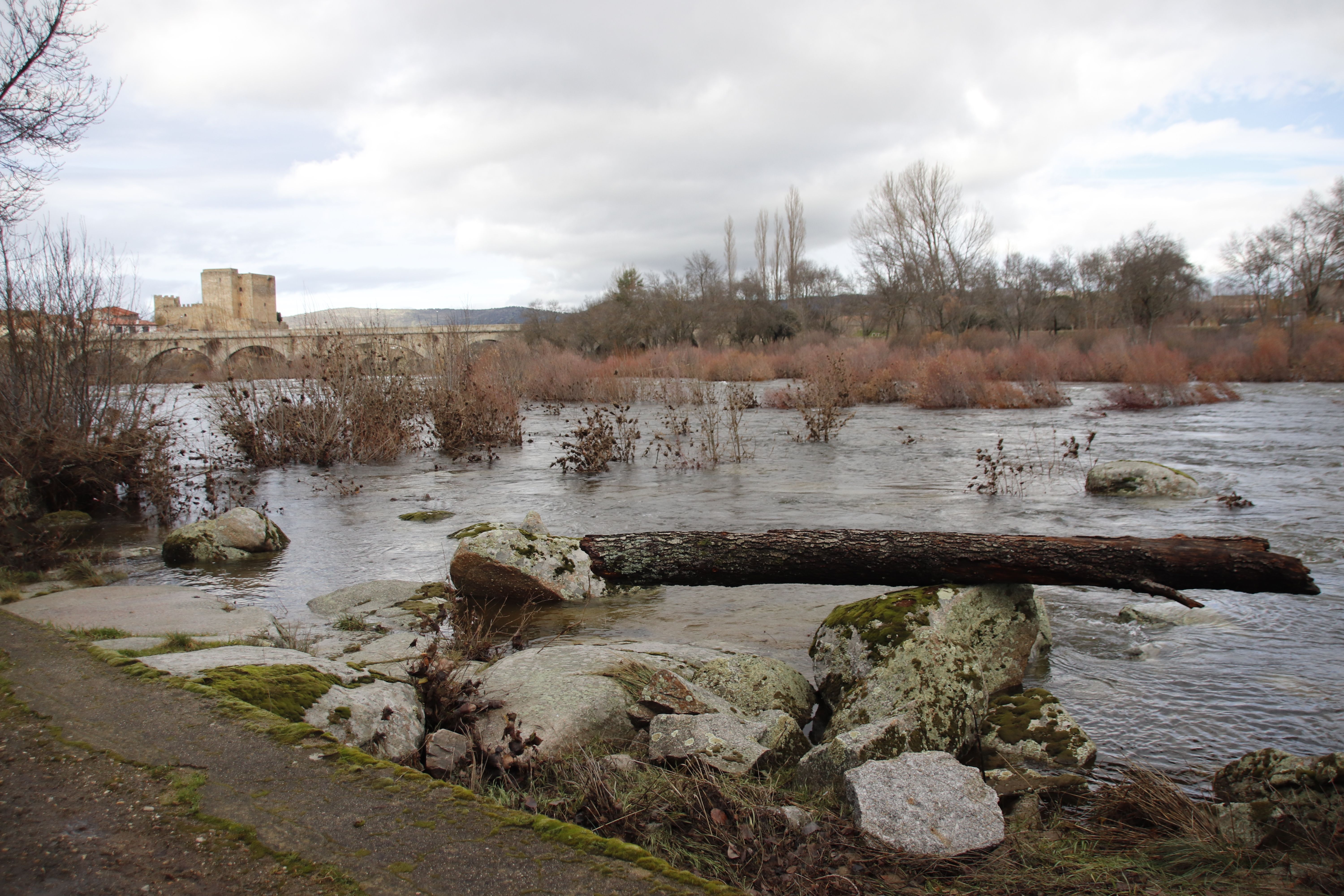 Río Tormes a su paso por Puente de Congosto