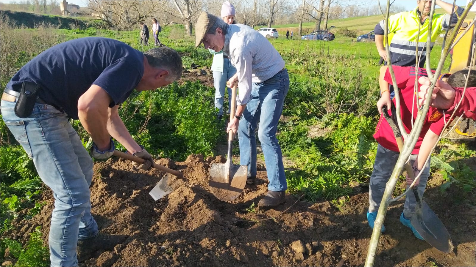 Un momento de la plantación de árboles promovida por la Asociación cultural de la Peña Efebos de Macotera