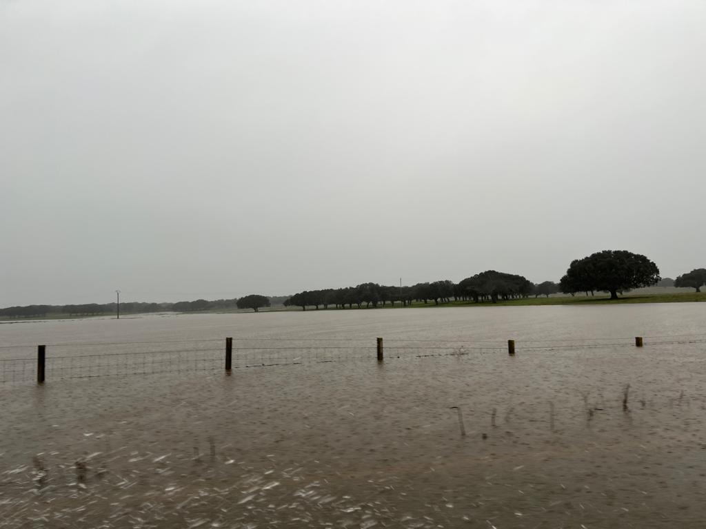 Carretera entre La Fuente de San Esteban y Sancti-Spíritus