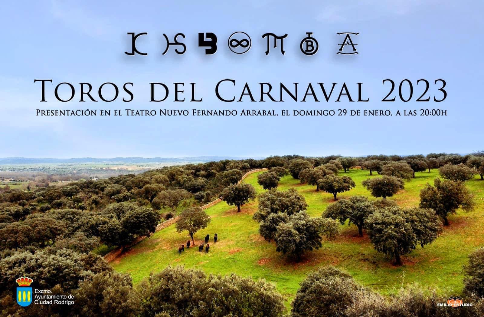 toros carnaval de ciudad rodrigo