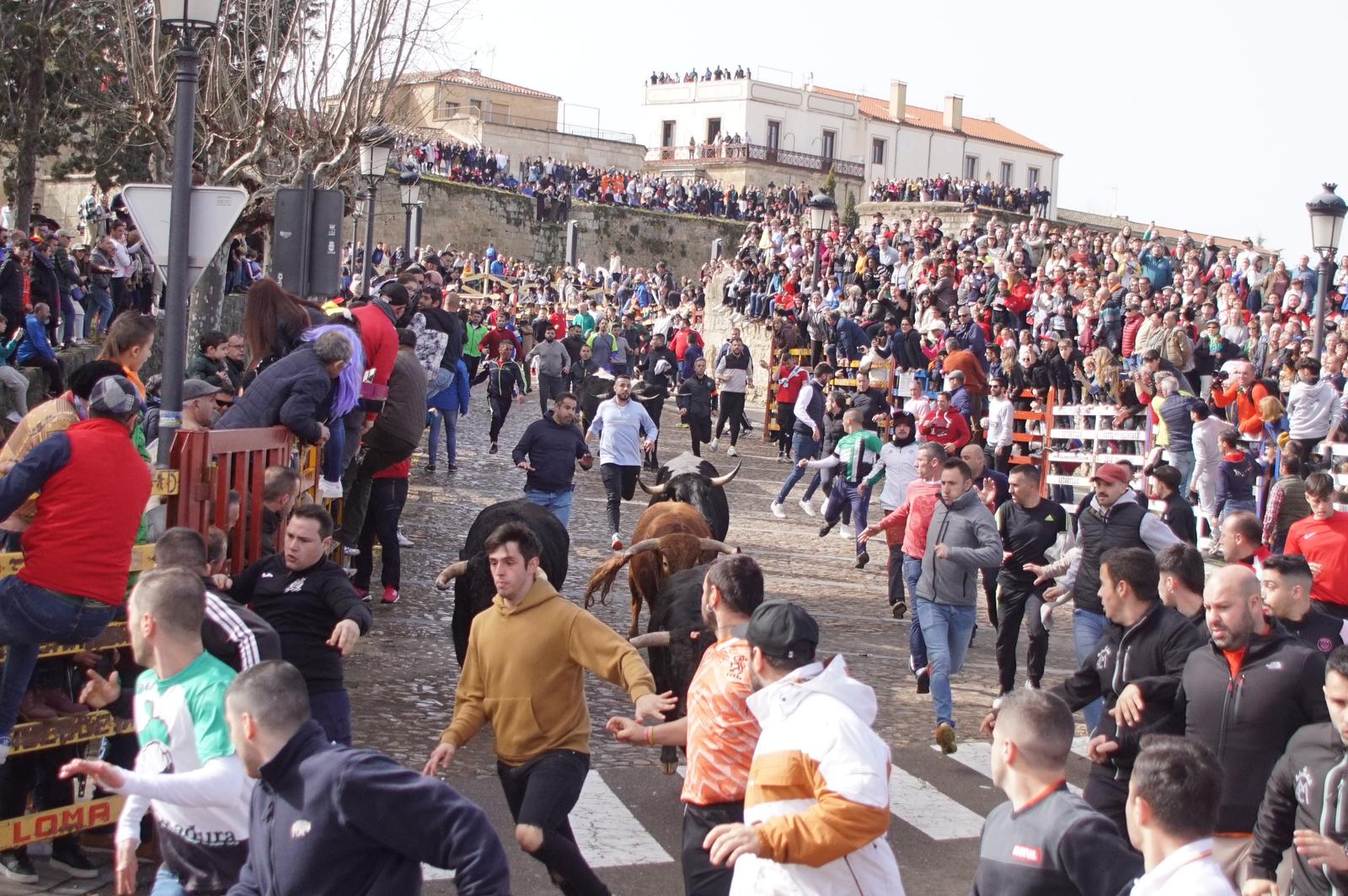 Capea este domingo en el Carnaval del Toro en Ciudad Rodrigo