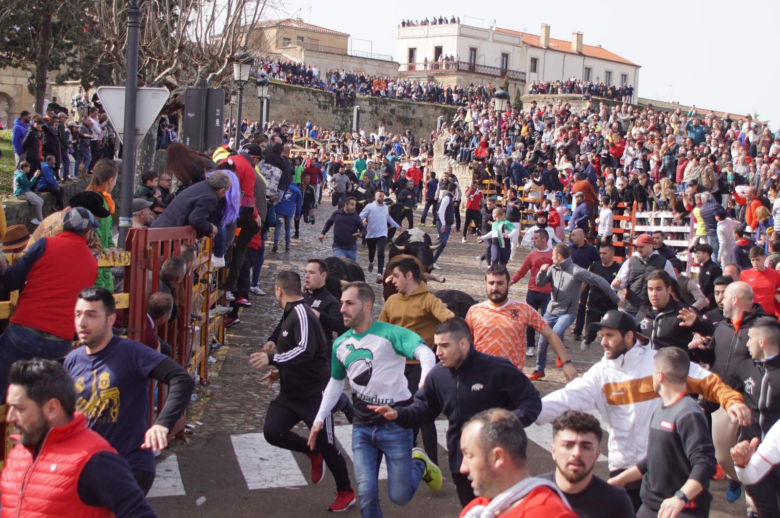 Capea este domingo en el Carnaval del Toro en Ciudad Rodrigo