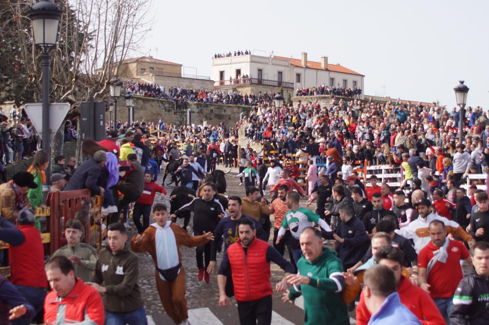 Capea este domingo en el Carnaval del Toro en Ciudad Rodrigo