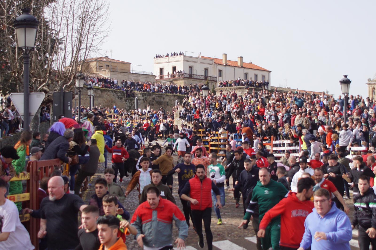 Capea este domingo en el Carnaval del Toro en Ciudad Rodrigo