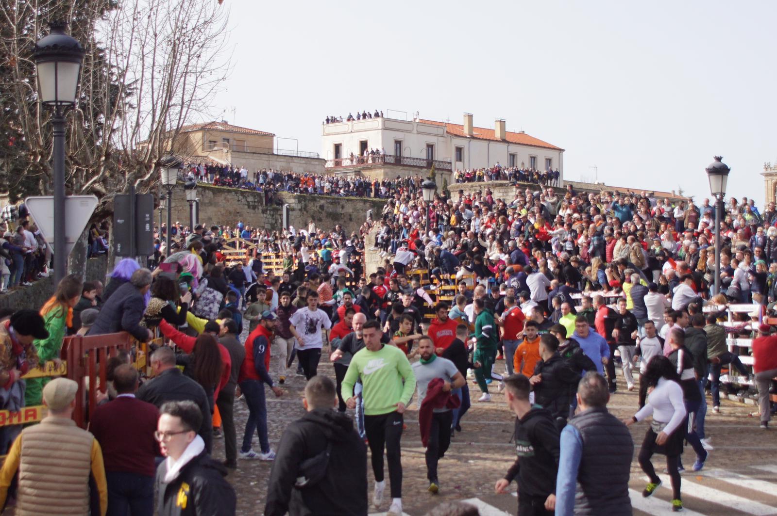 Capea este domingo en el Carnaval del Toro en Ciudad Rodrigo