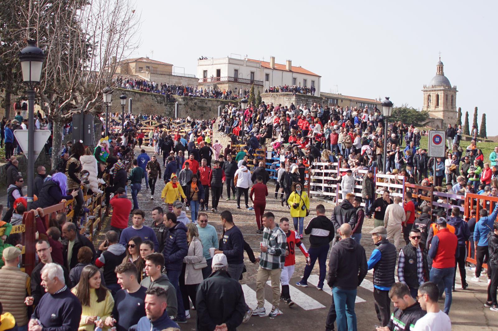 Capea este domingo en el Carnaval del Toro en Ciudad Rodrigo