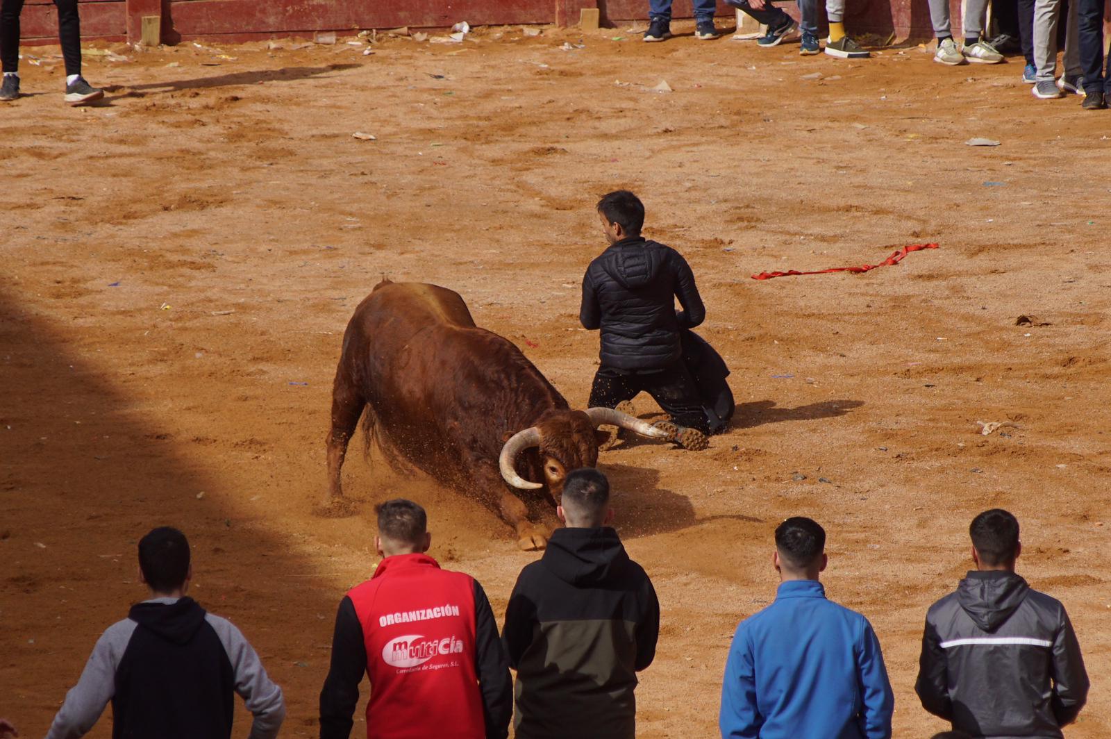 Capea este domingo en el Carnaval del Toro en Ciudad Rodrigo