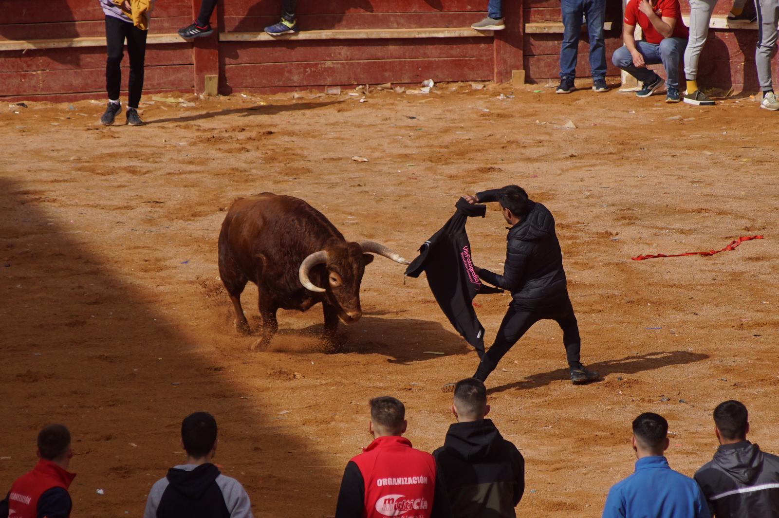 Capea este domingo en el Carnaval del Toro en Ciudad Rodrigo