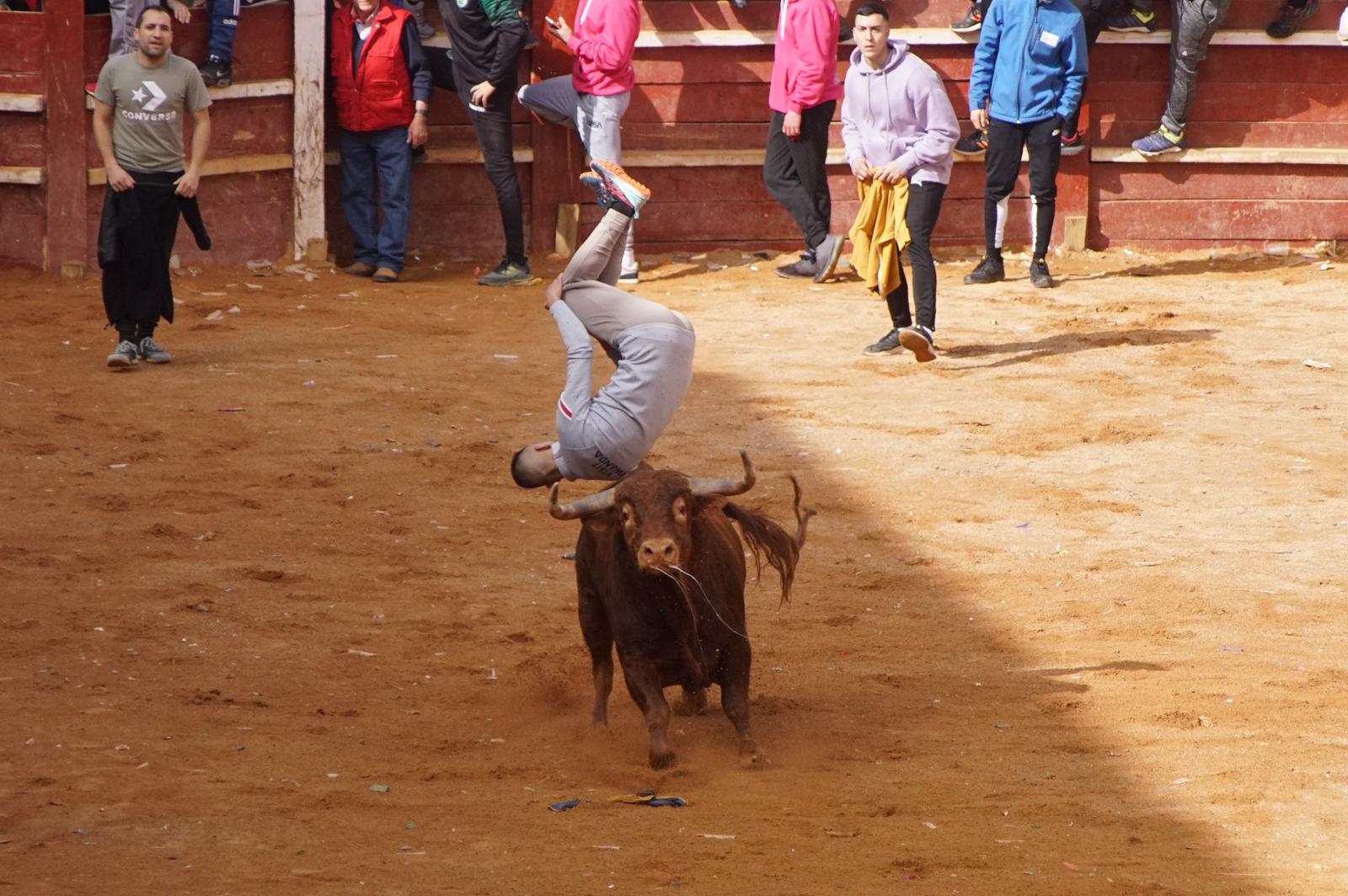 Capea este domingo en el Carnaval del Toro en Ciudad Rodrigo