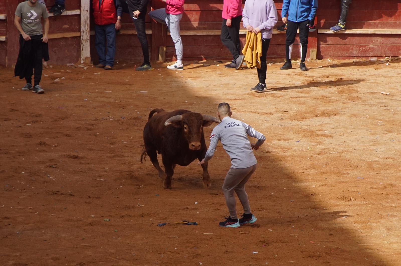 Capea este domingo en el Carnaval del Toro en Ciudad Rodrigo