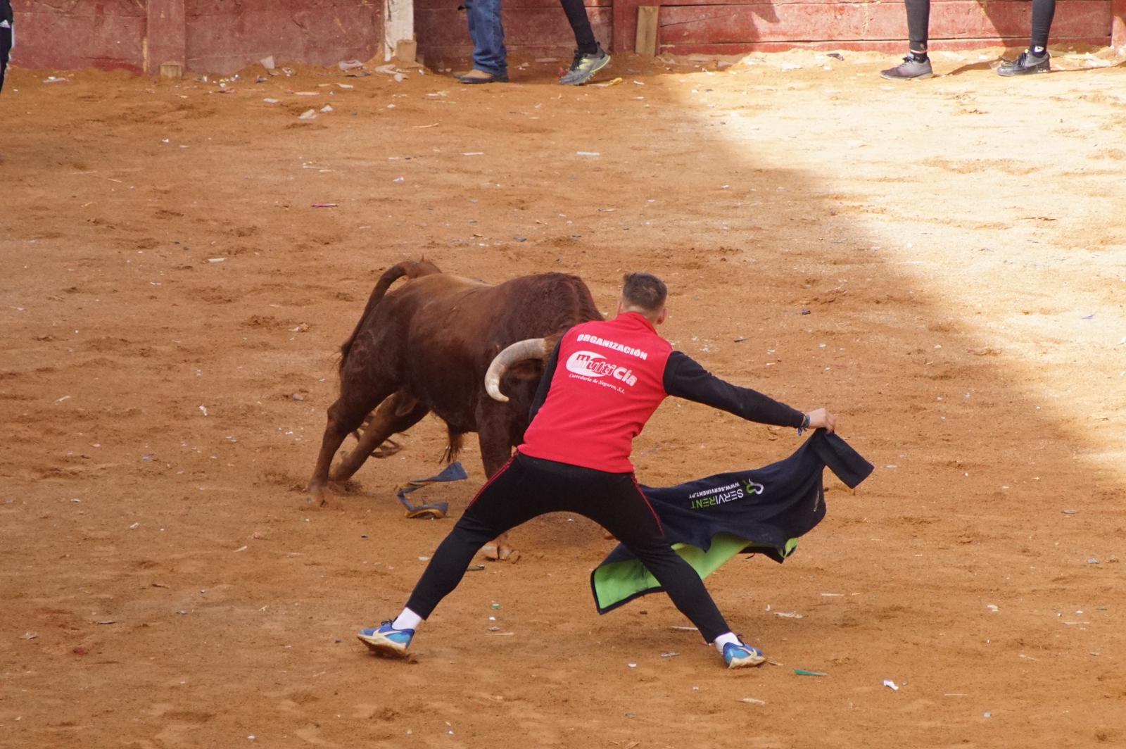 Capea este domingo en el Carnaval del Toro en Ciudad Rodrigo