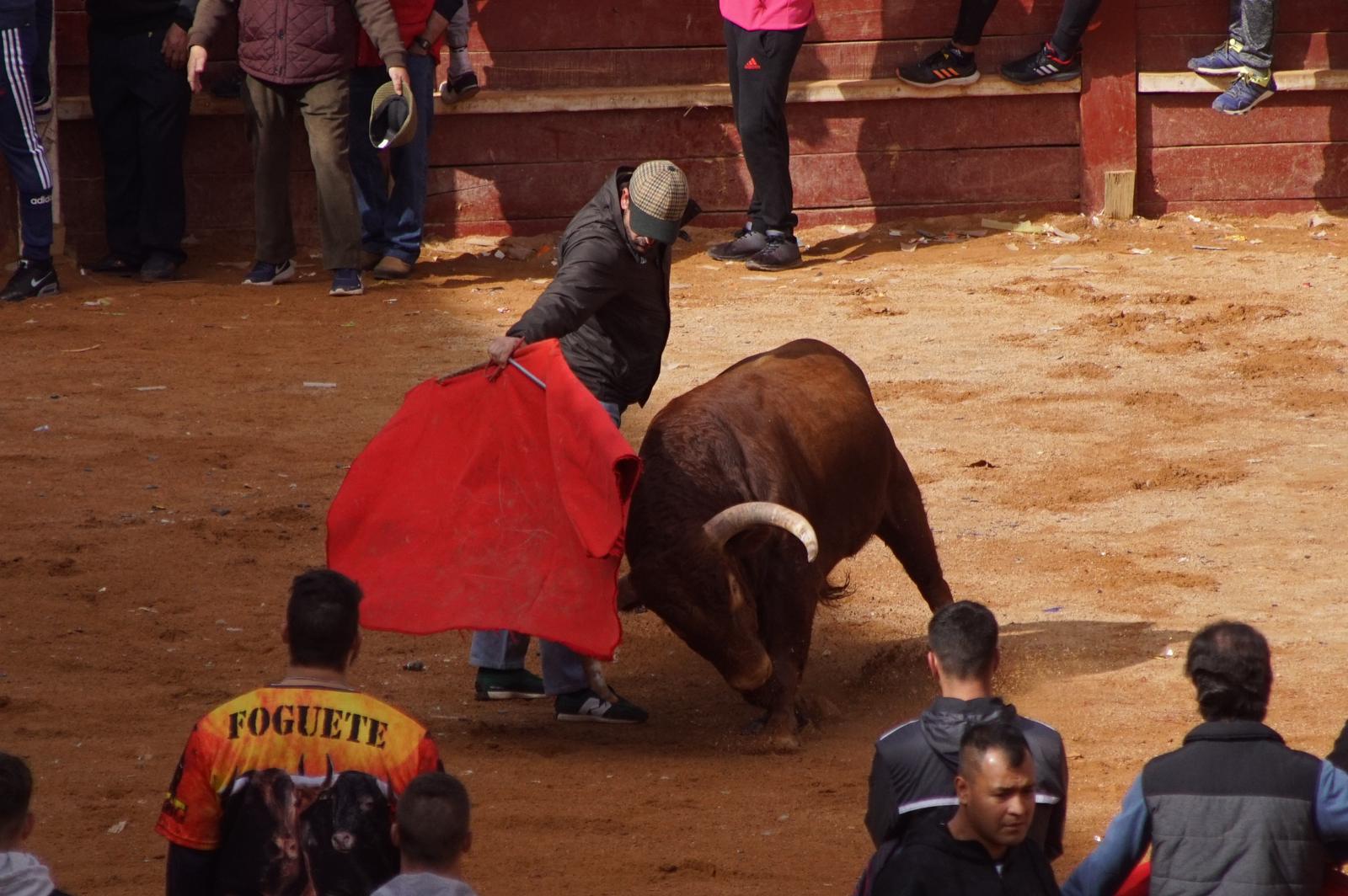 Capea este domingo en el Carnaval del Toro en Ciudad Rodrigo