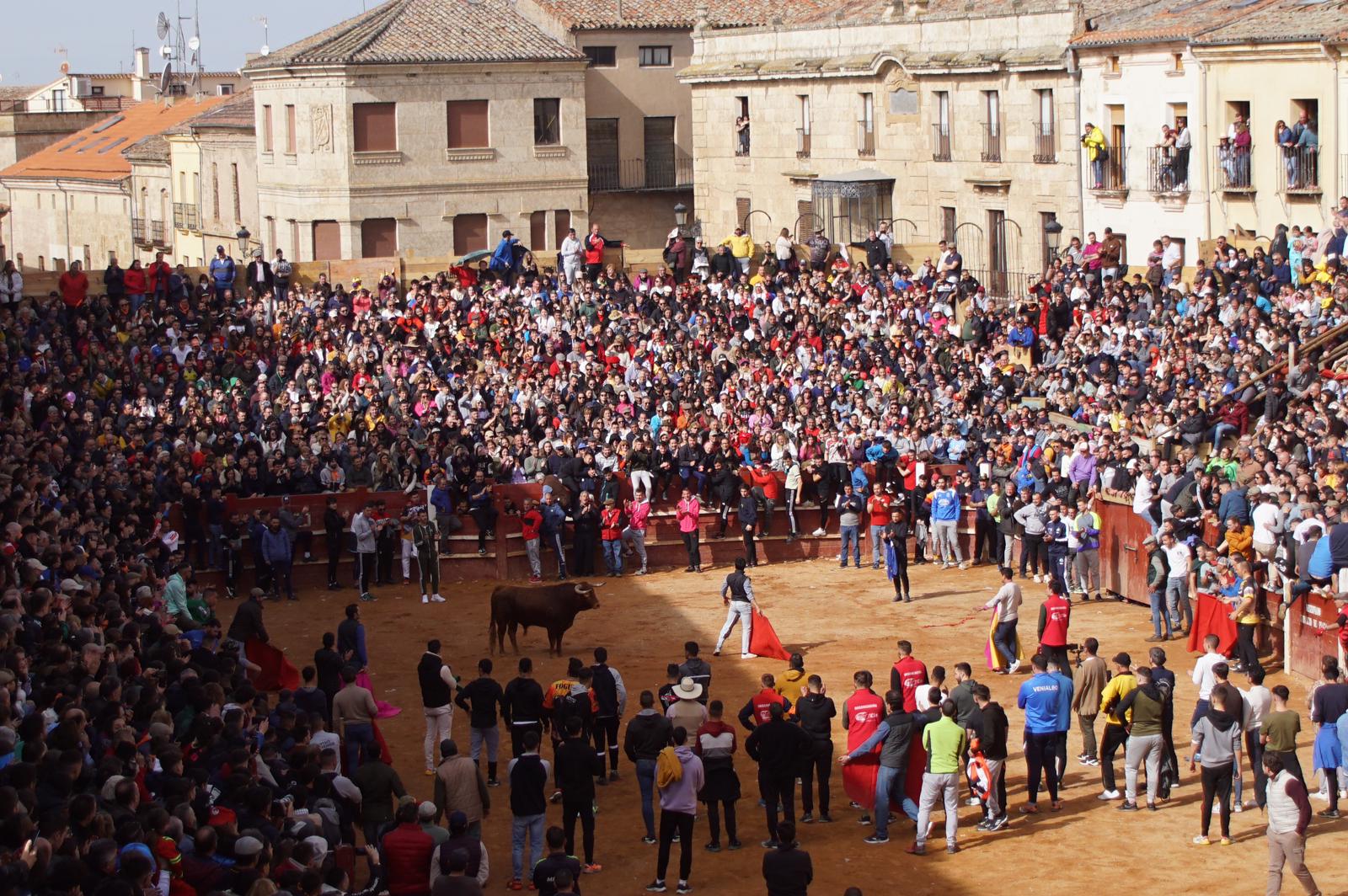 Capea este domingo en el Carnaval del Toro en Ciudad Rodrigo