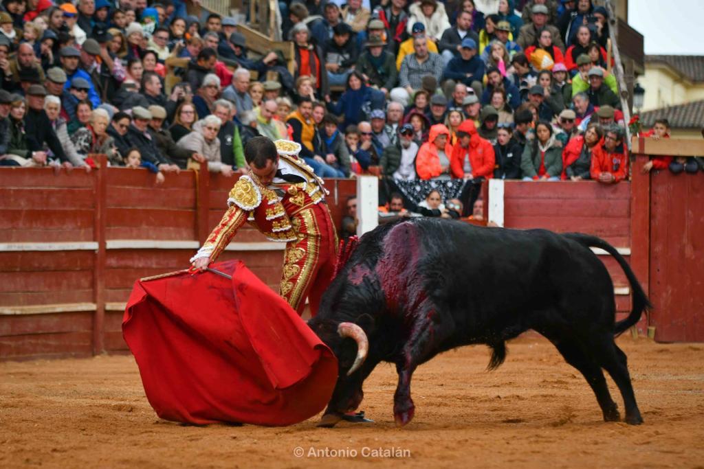 Novillada con picadores en Ciudad Rodrigo | Foto Antonio Catalán