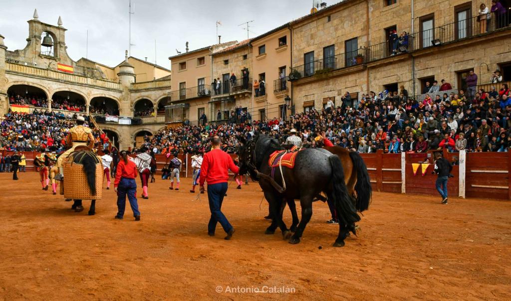 Novillada con picadores en Ciudad Rodrigo | Foto Antonio Catalán