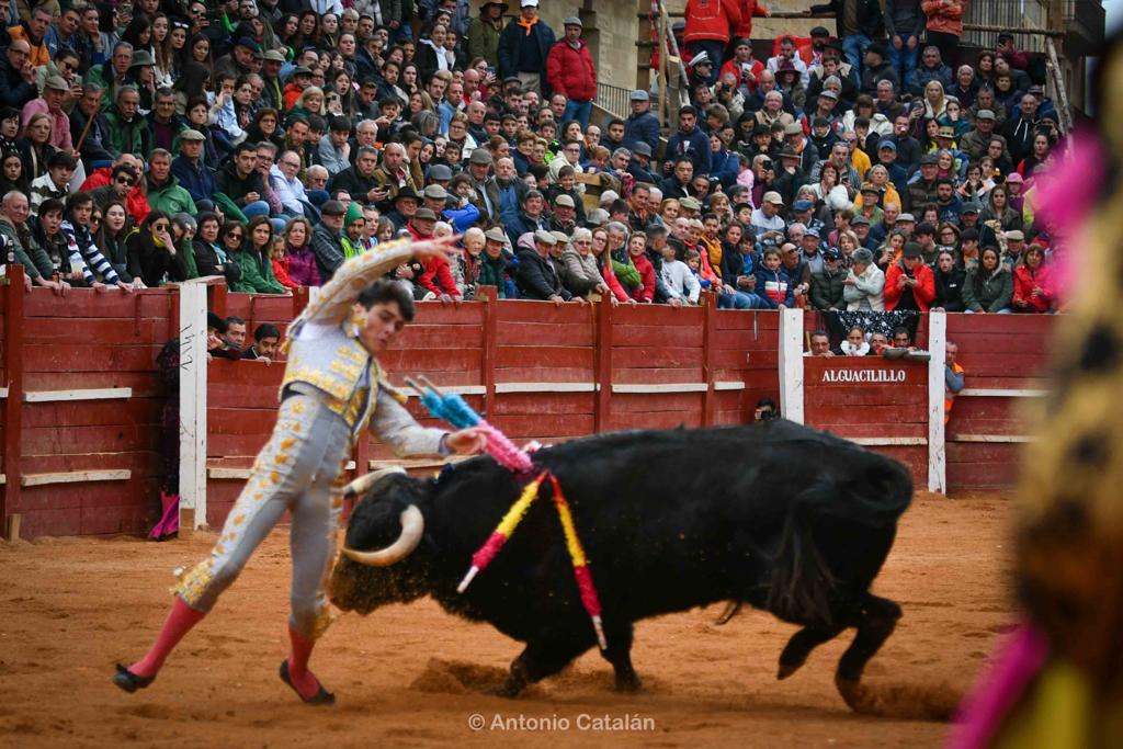 Novillada con picadores en Ciudad Rodrigo | Foto Antonio Catalán