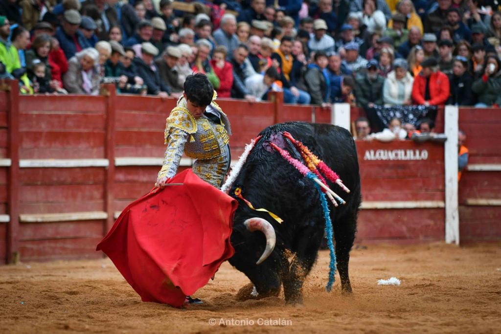 Novillada con picadores en Ciudad Rodrigo | Foto Antonio Catalán