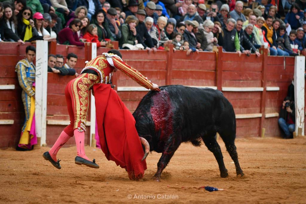 Novillada con picadores en Ciudad Rodrigo | Foto Antonio Catalán