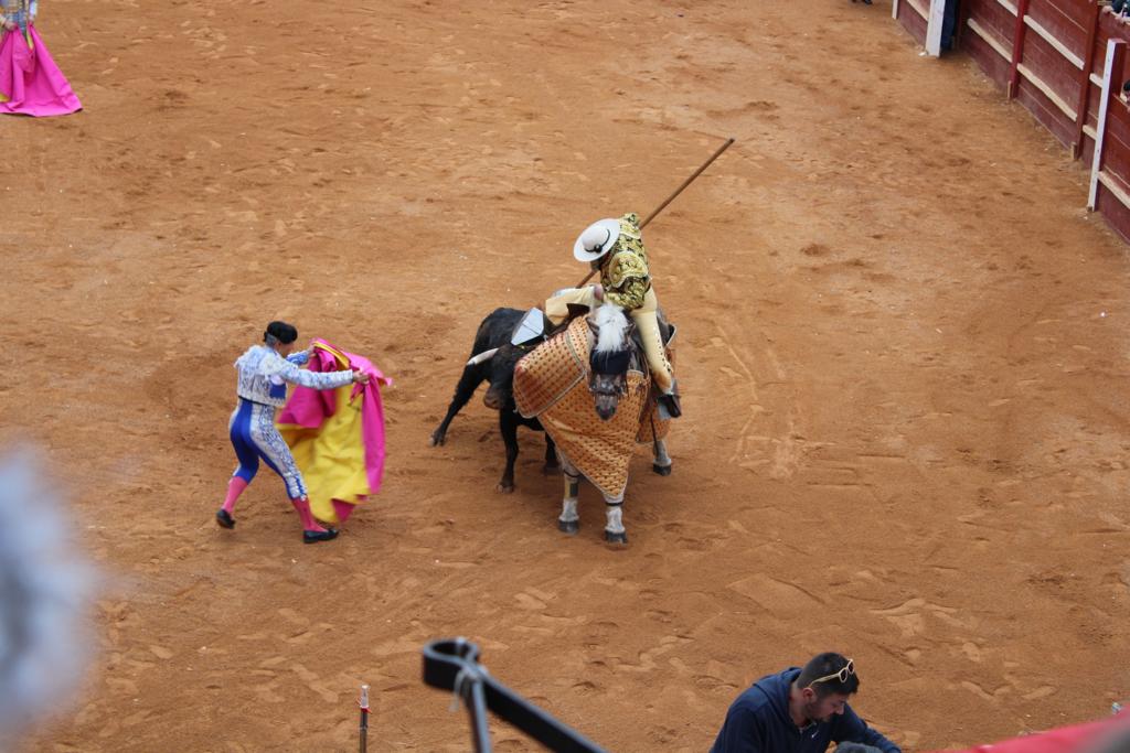 Novillada con picadores en Ciudad Rodrigo