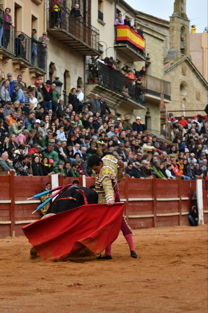 Novillada con picadores en Ciudad Rodrigo | Foto Antonio Catalán