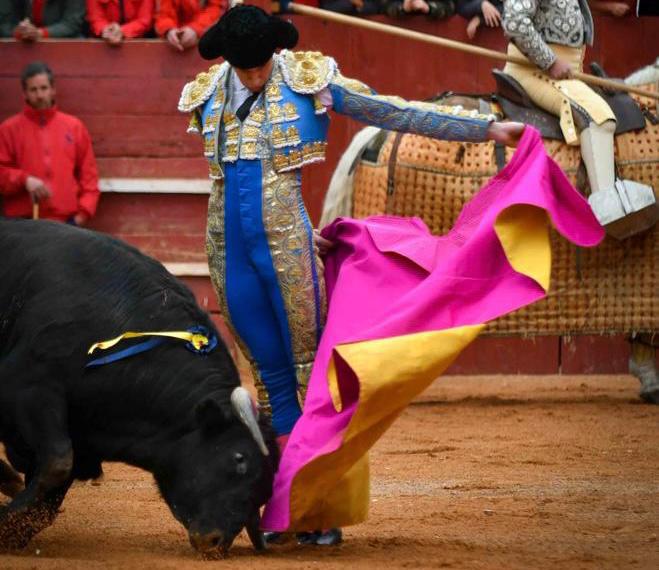 Novilla con picadores en Ciudad Rodrigo | Foto Antonio Catalán