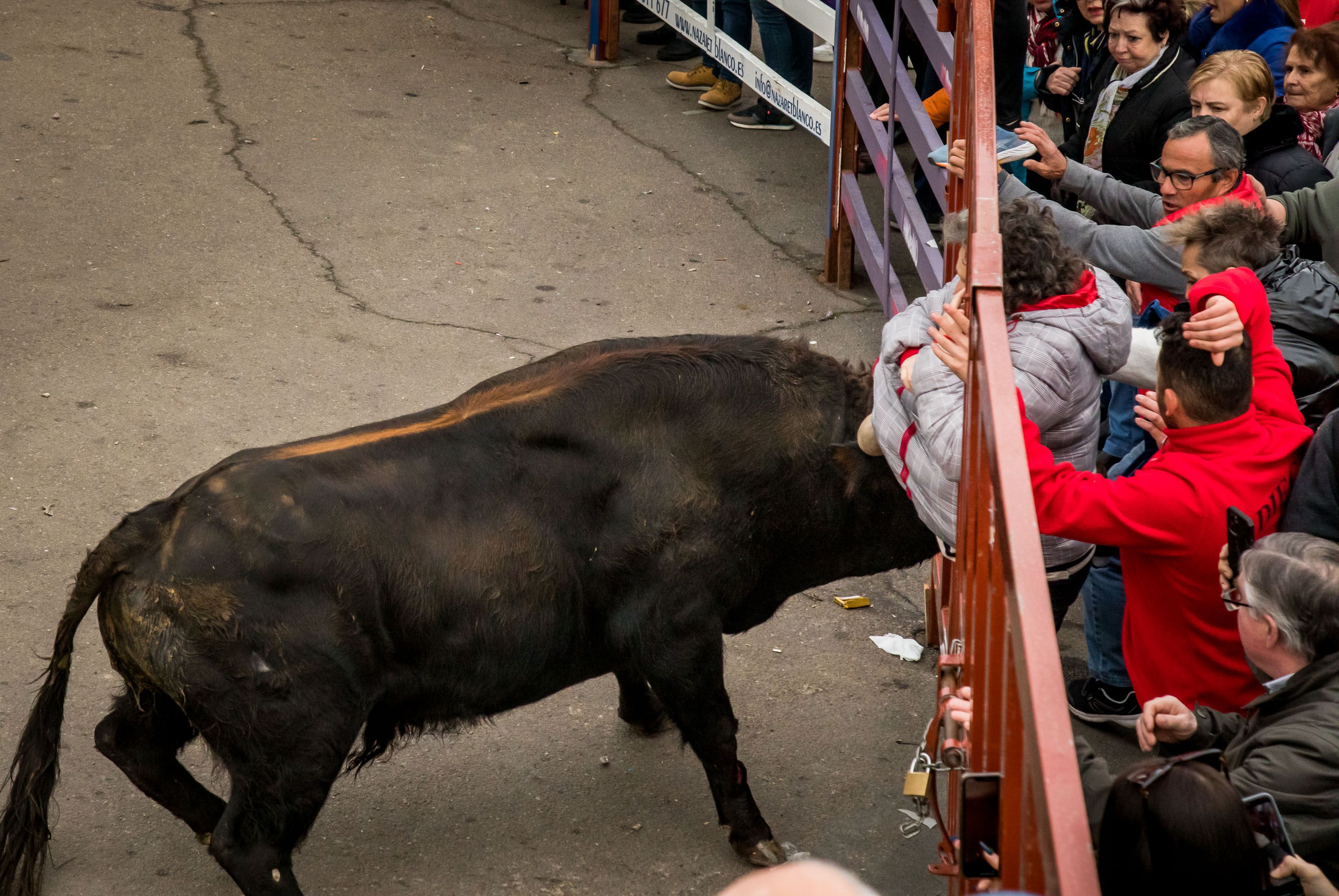 Mujer corneada en Ciudad Rodrigo | ICAL