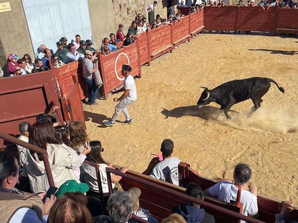 Suelta de vaquillas por Cabrillas (2)