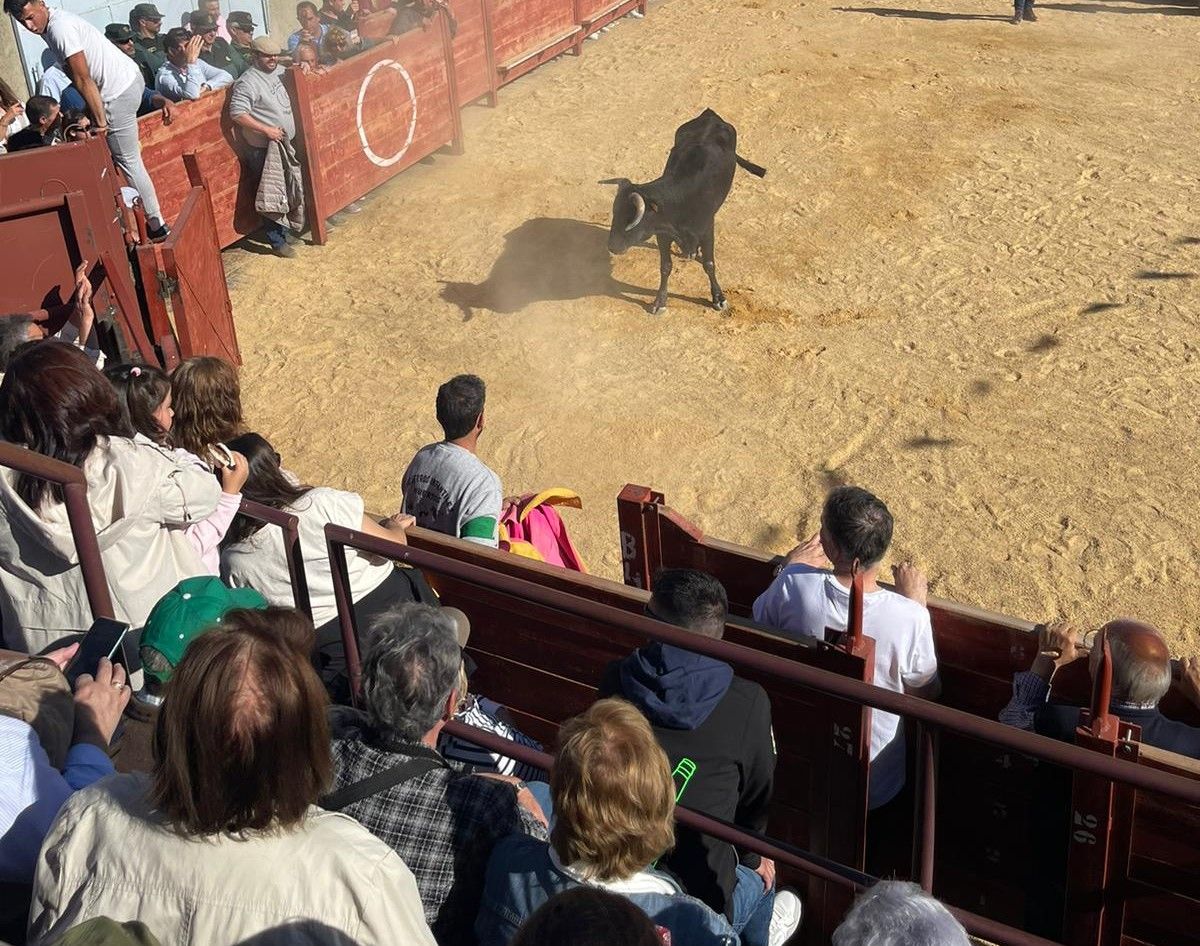 Suelta de vaquillas por Cabrillas (3)