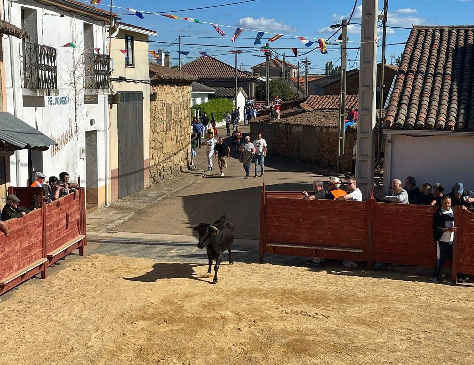 Suelta de vaquillas por Cabrillas (5)