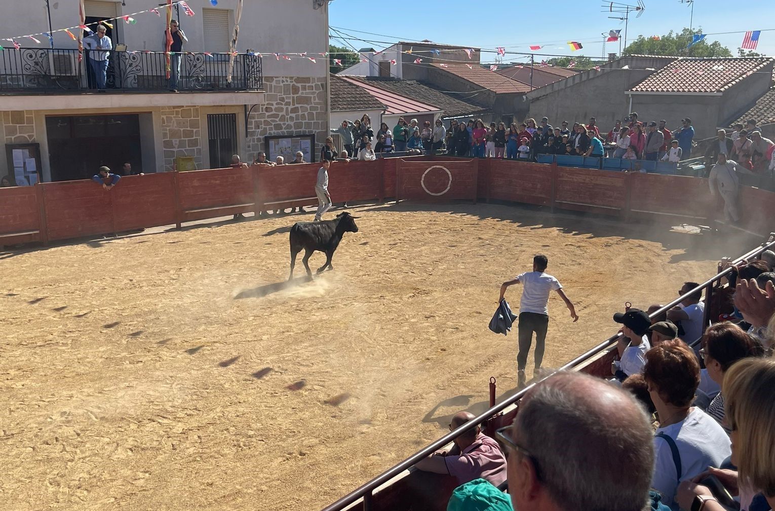 Suelta de vaquillas por Cabrillas (6)