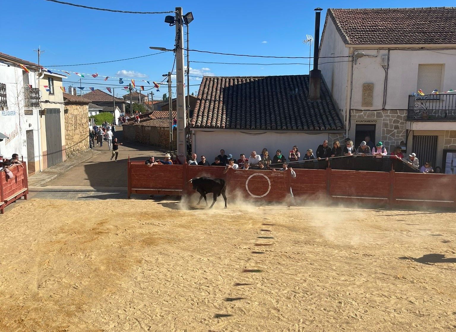 Suelta de vaquillas por Cabrillas (9)