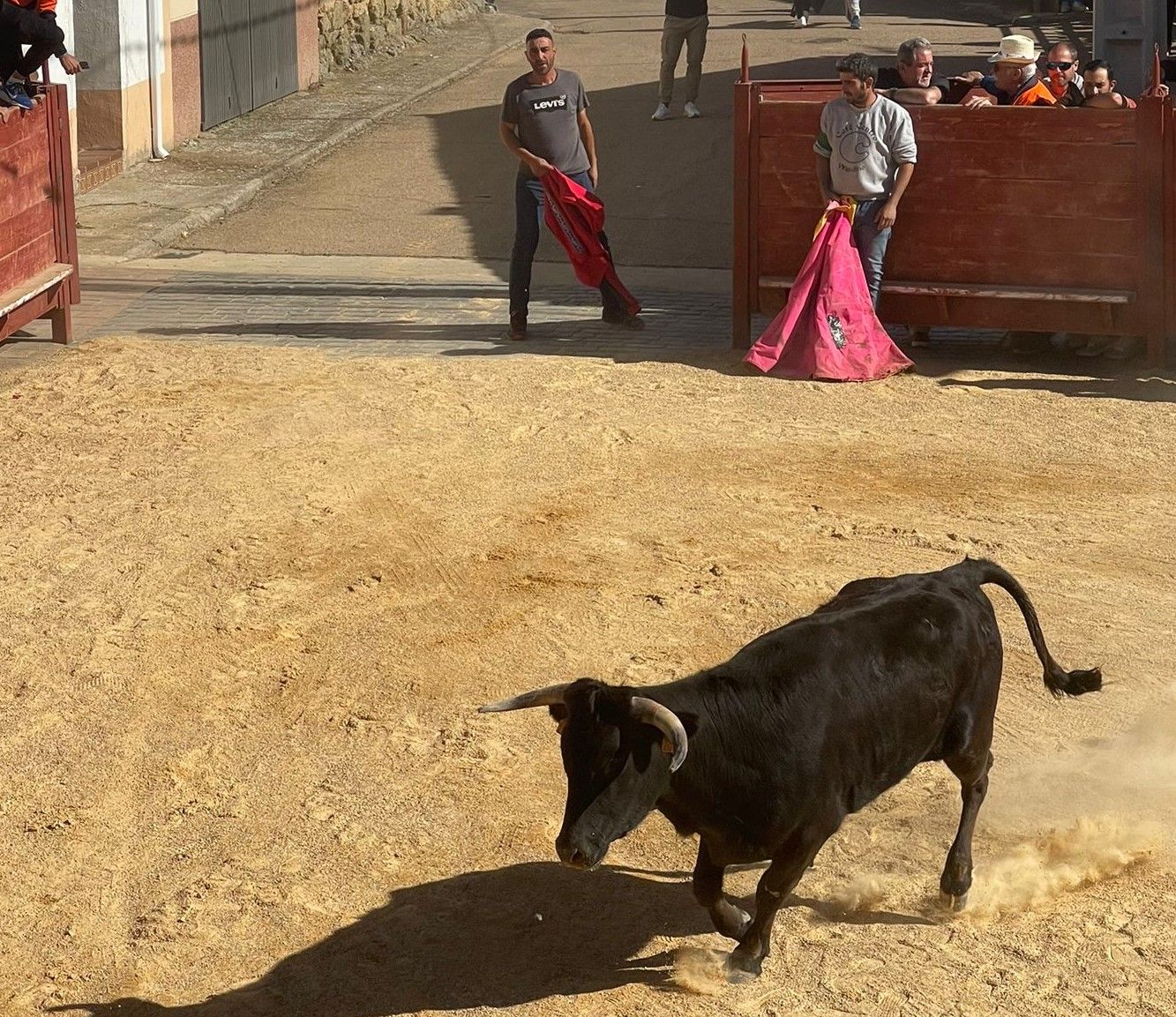 Suelta de vaquillas por Cabrillas (12)