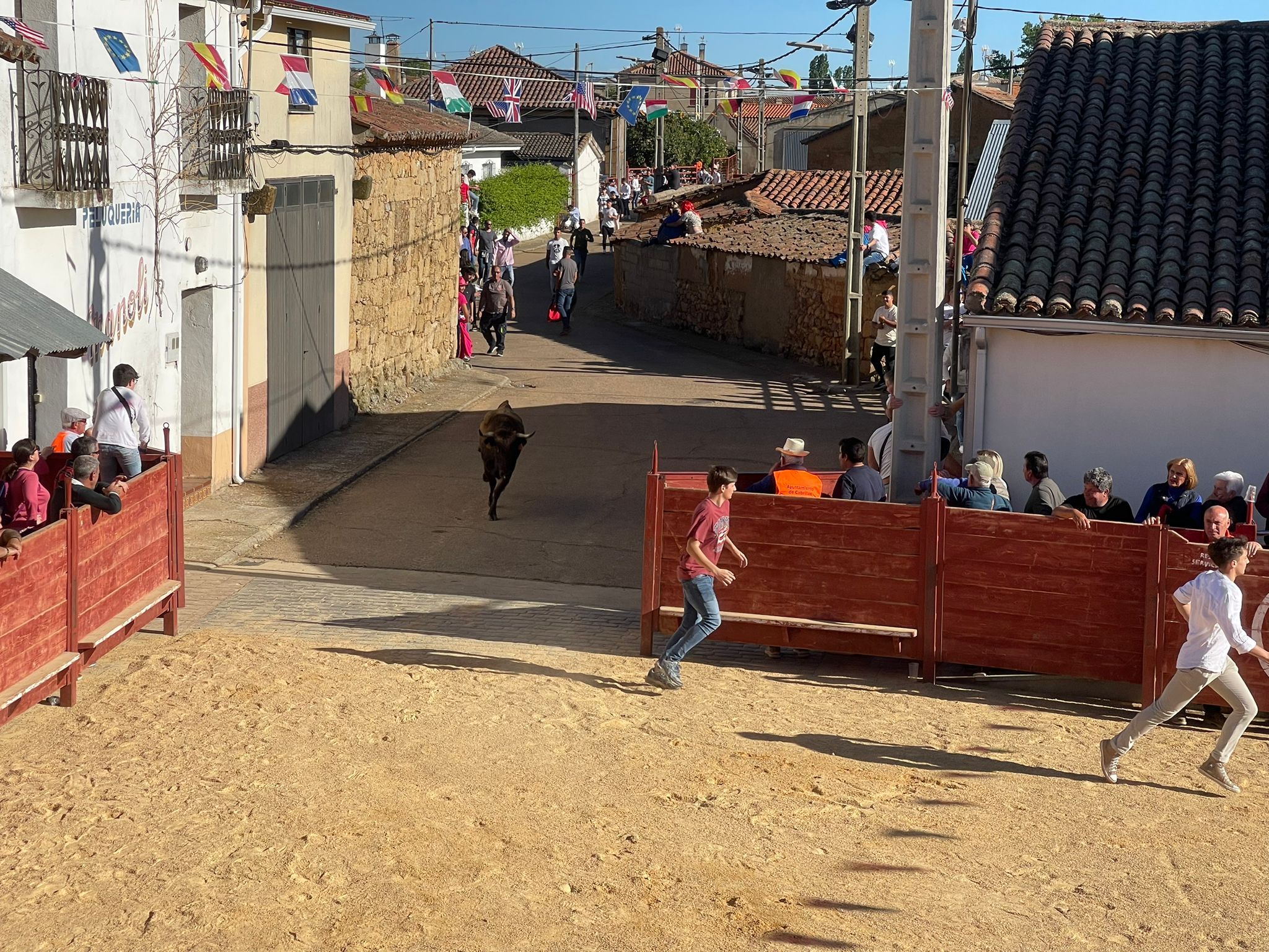 Suelta de vaquillas en Cabrillas (12)