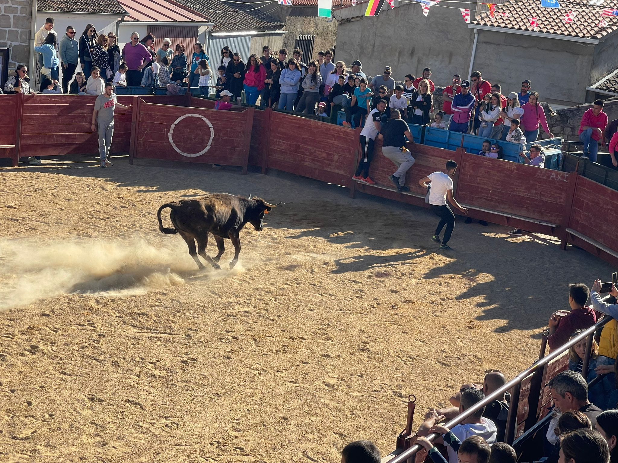 Suelta de vaquillas en Cabrillas (13)