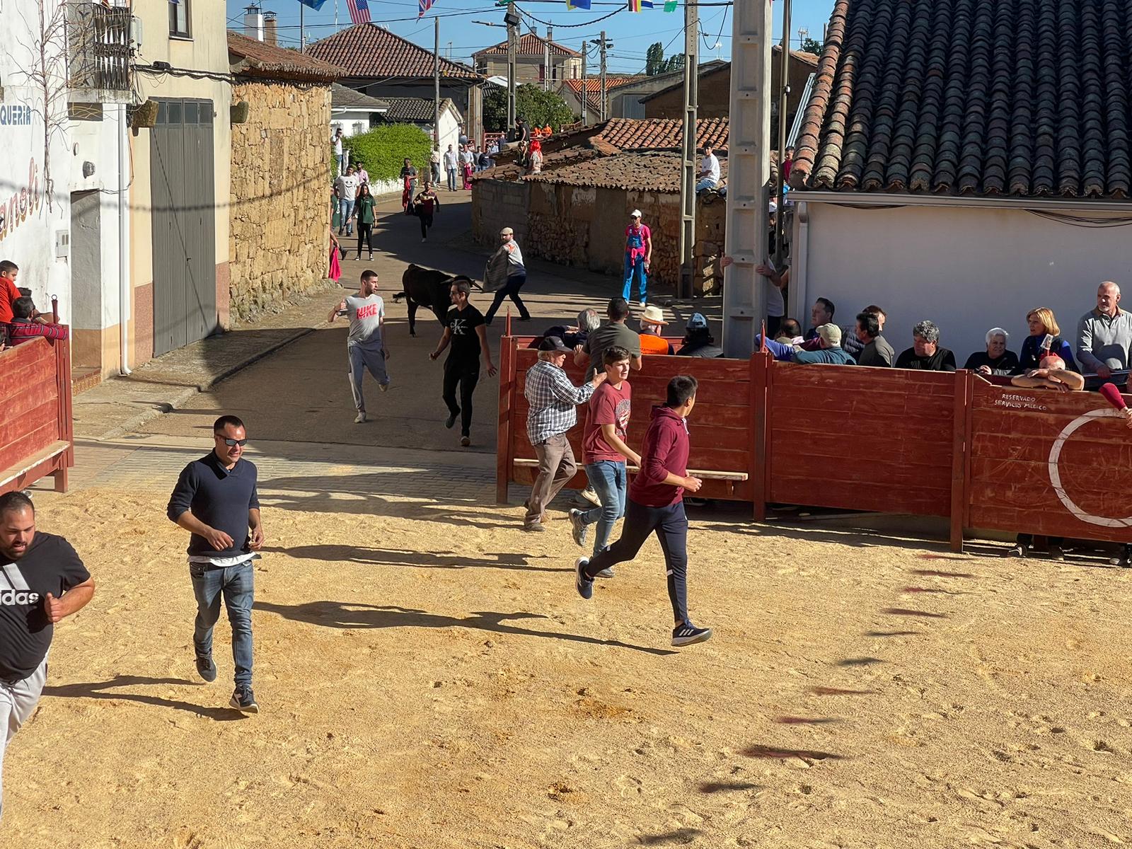 Suelta de vaquillas en Cabrillas (3)