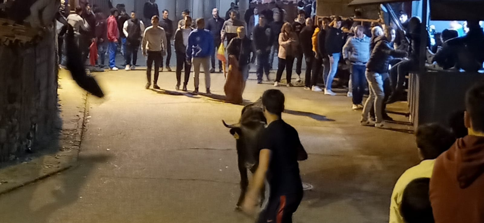 Suelta nocturna de vaquillas durante las fiestas patronales de Cabrillas (13)