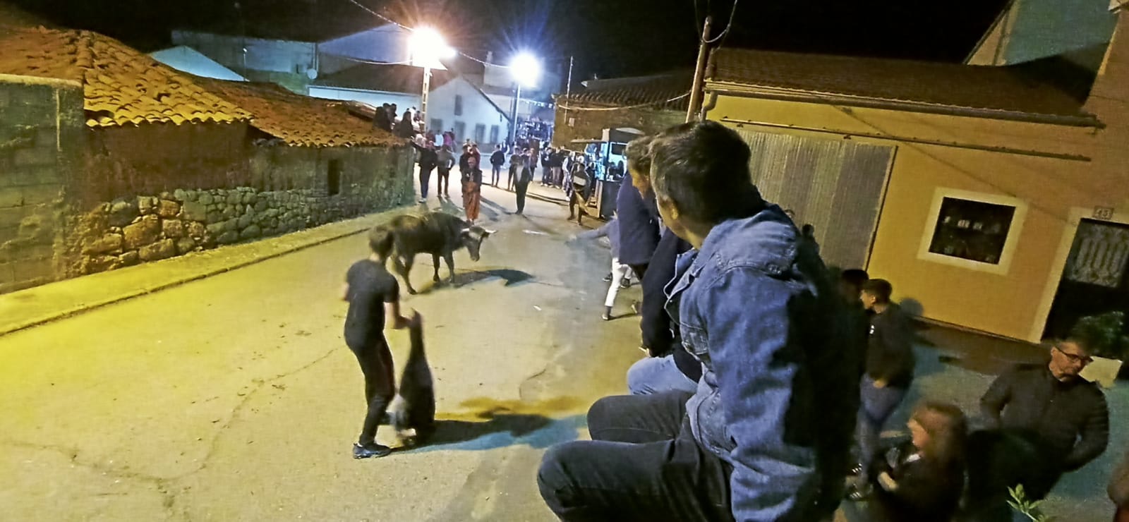 Suelta nocturna de vaquillas durante las fiestas patronales de Cabrillas (1)