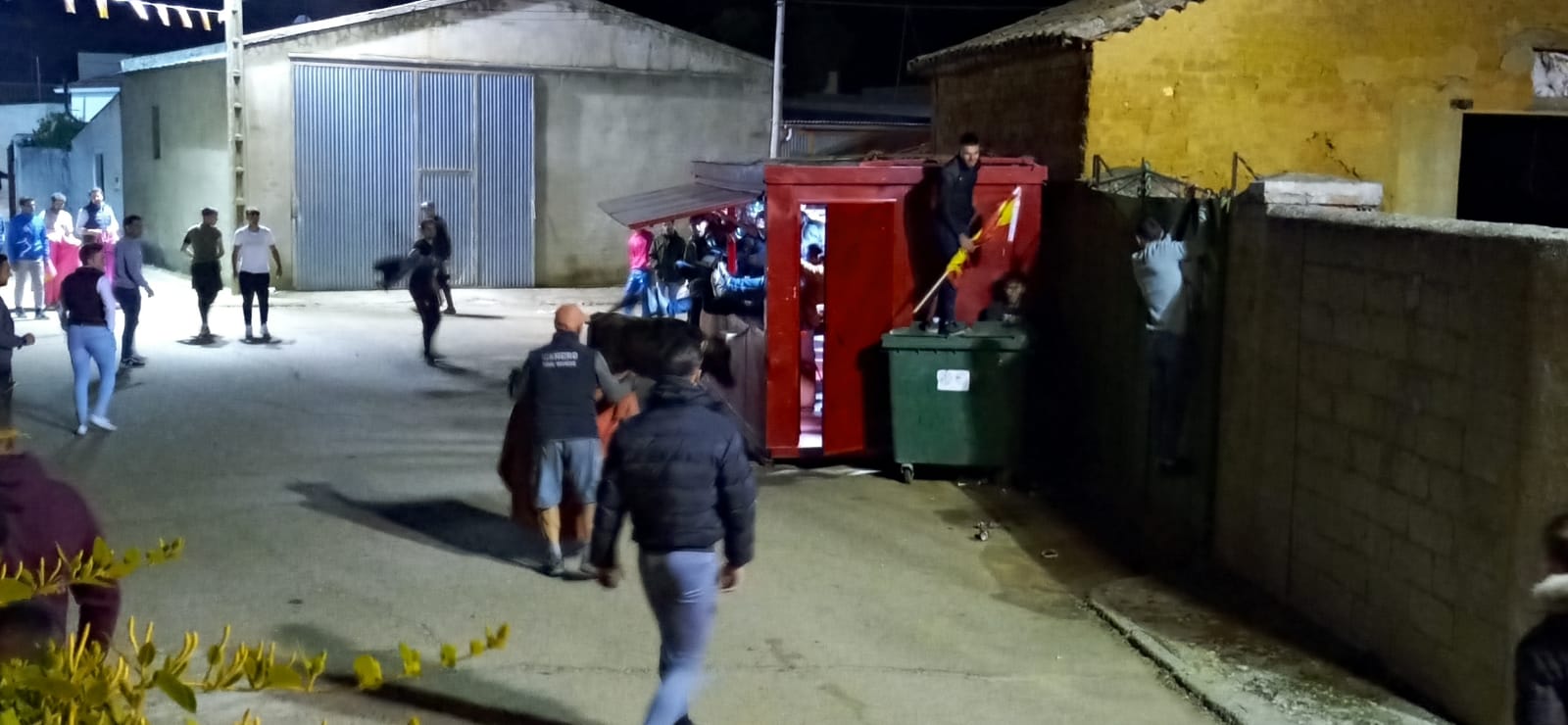 Suelta nocturna de vaquillas durante las fiestas patronales de Cabrillas (8)