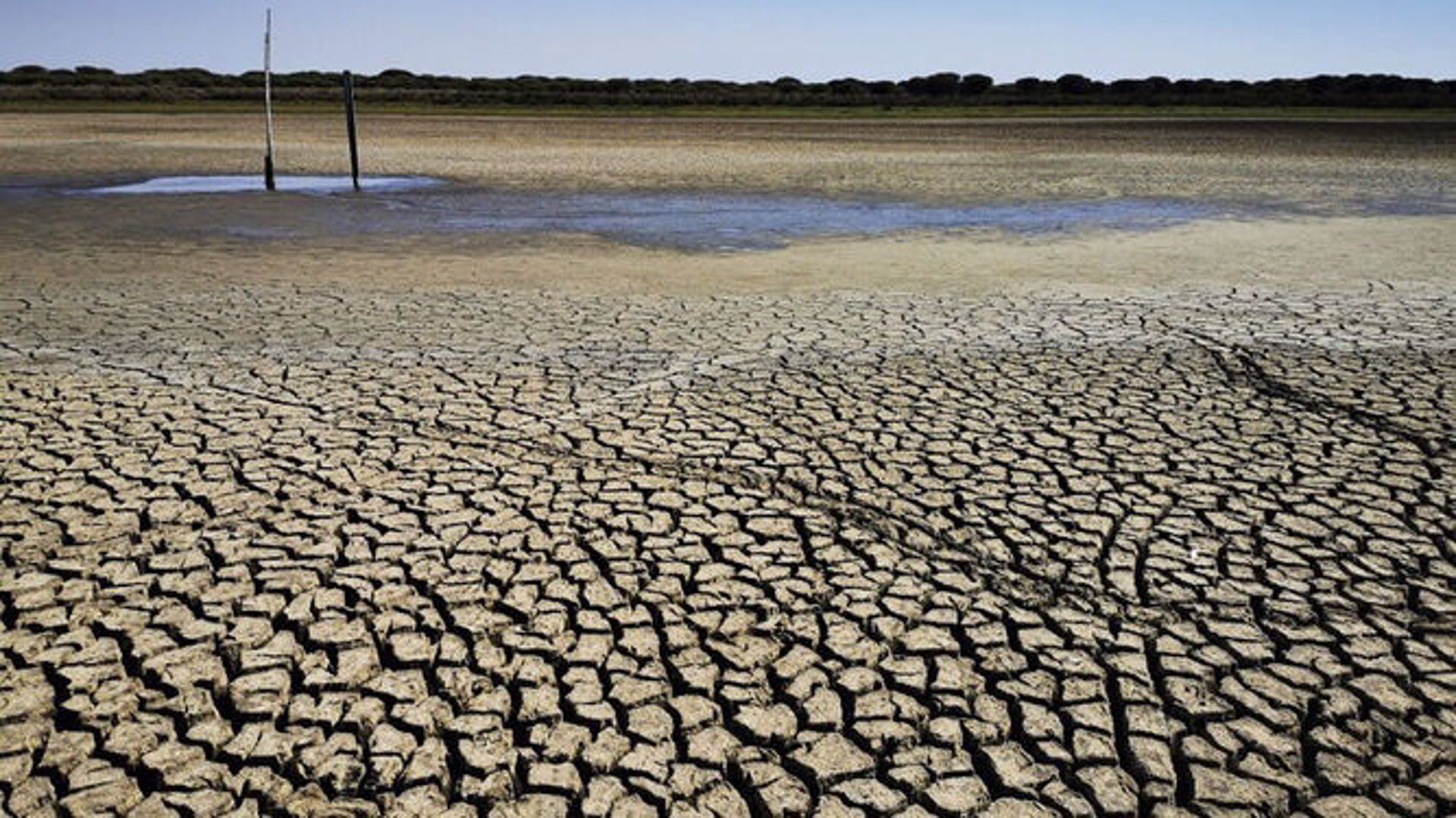 Imagen de la sequía en municipios de la Sierra de Huelva. - GIAHSA