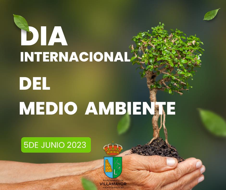 Día internacional Medio Ambiente